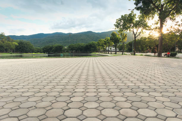 Best Concrete Paver Driveway  in West Dundee, IL